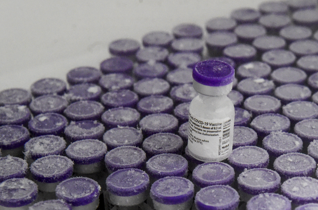 Vacunas anticovid - AFP