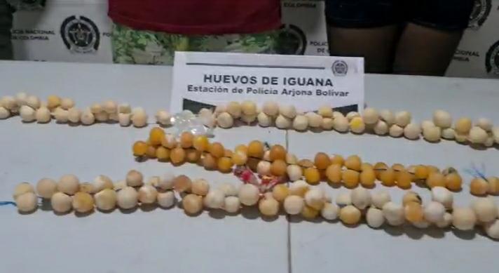 Esta actividad está prohibida