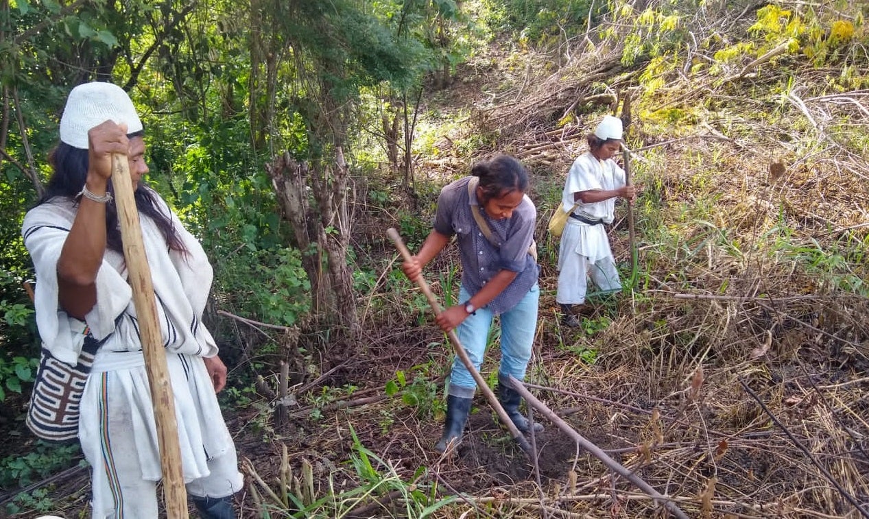 La comunidad hoy trata de sostener este proyecto, con la siembra de 5 hectáreas y sostenimiento 13.5 ht, más de cultivos