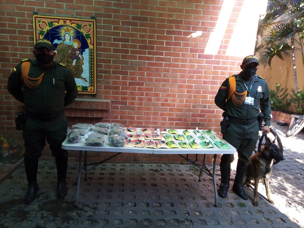 Canino “Tony”, un Pastor Belga Malinois