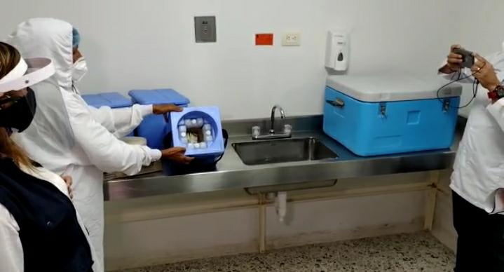 Vacunas contra el covid-19