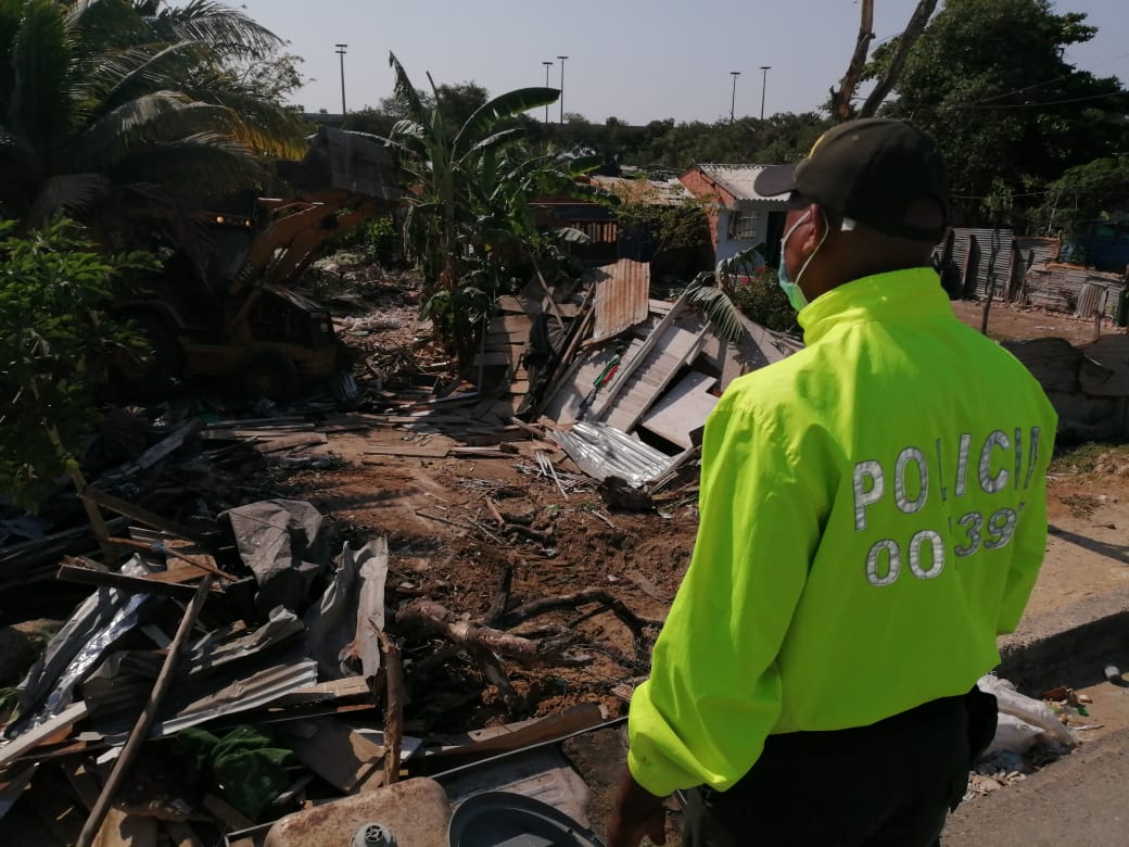 Maquinas tragamonedas y aves silvestres