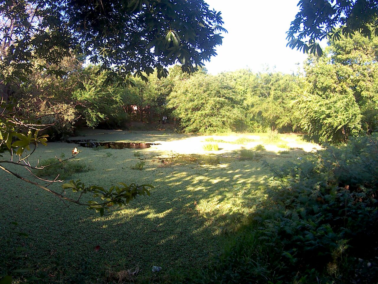 Necesita intervención urgente