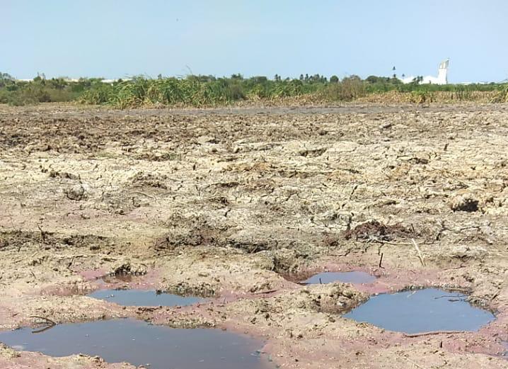 Sabanagrande (Atlántico)