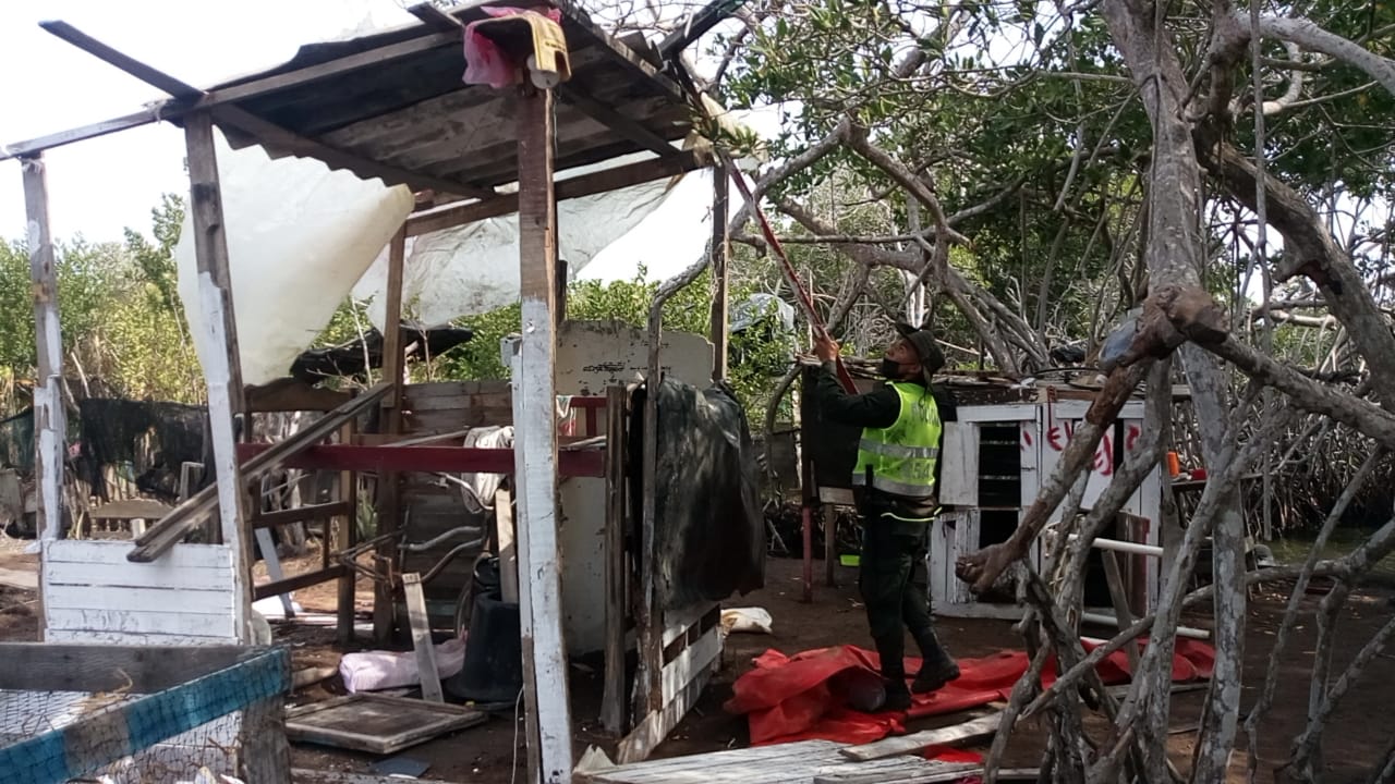 Relleno e invasión, en esta zona del norte de la ciudad.
