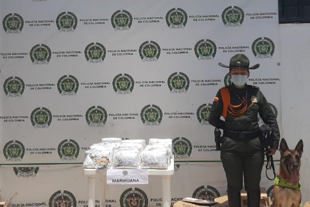 En total fueron 19 kilos de marihuana los incautados