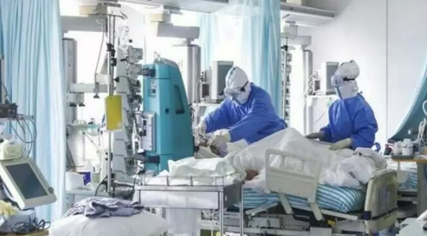 Imagen de referencia.