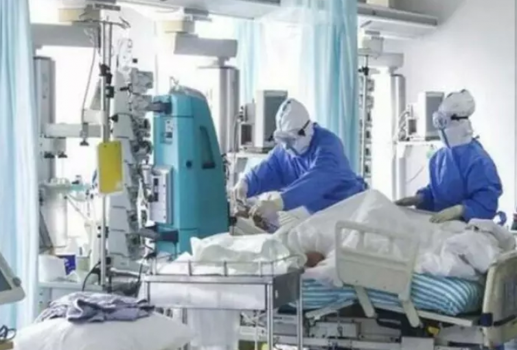 Imagen de referencia.