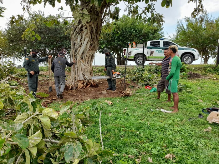 Grupo de Protección Ambiental y Ecológica
