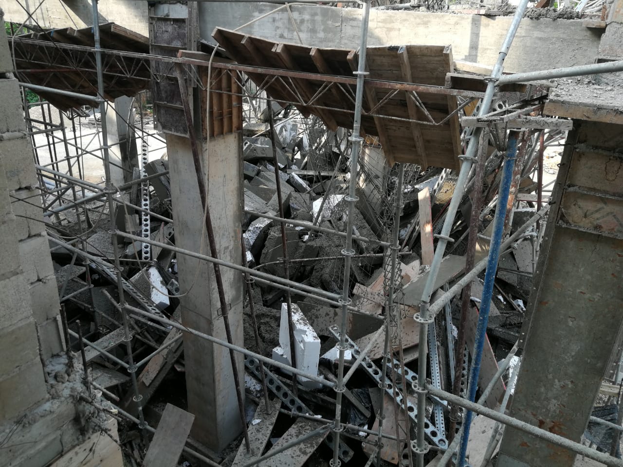 Desde el proyecto se estarán adelantando acciones