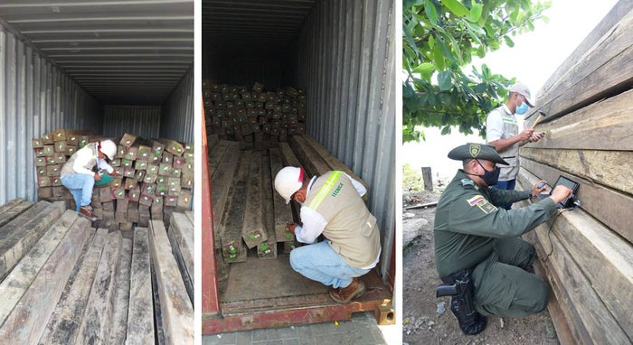 Decomisaron 330 metros cúbicos de madera rolliza, equivalente a 145 trozas