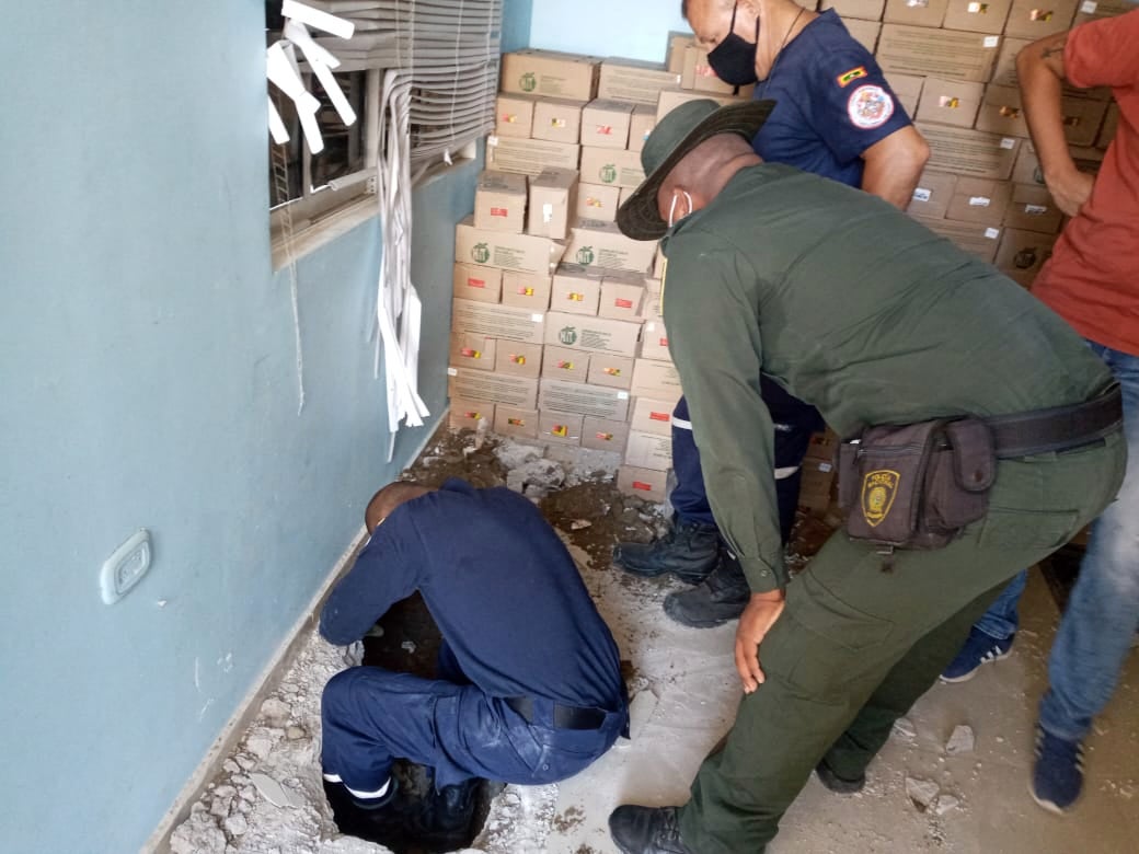 El animal requirió atención veterinaria