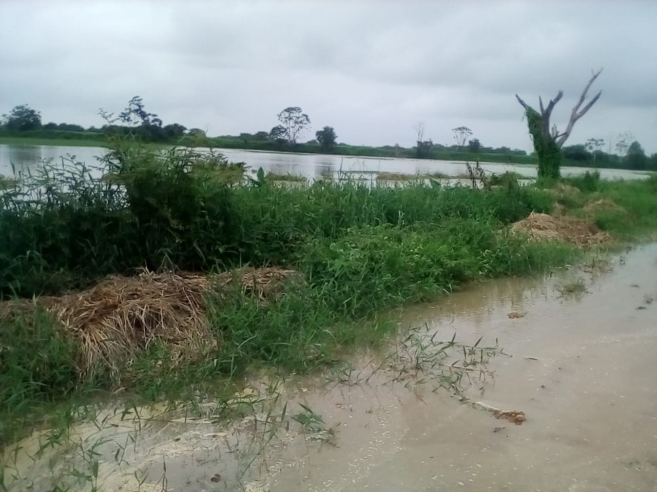 Las emergencias comenzaron ayer.