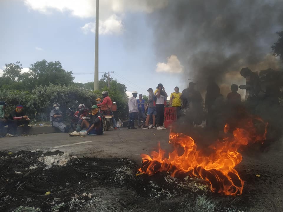 Plantones en Mamonal Cartagena