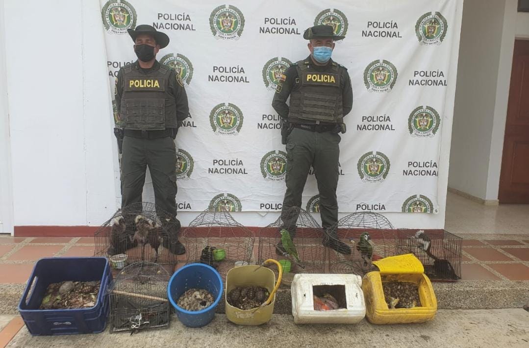 Policía de Bolívar en San Juan Nepomuceno