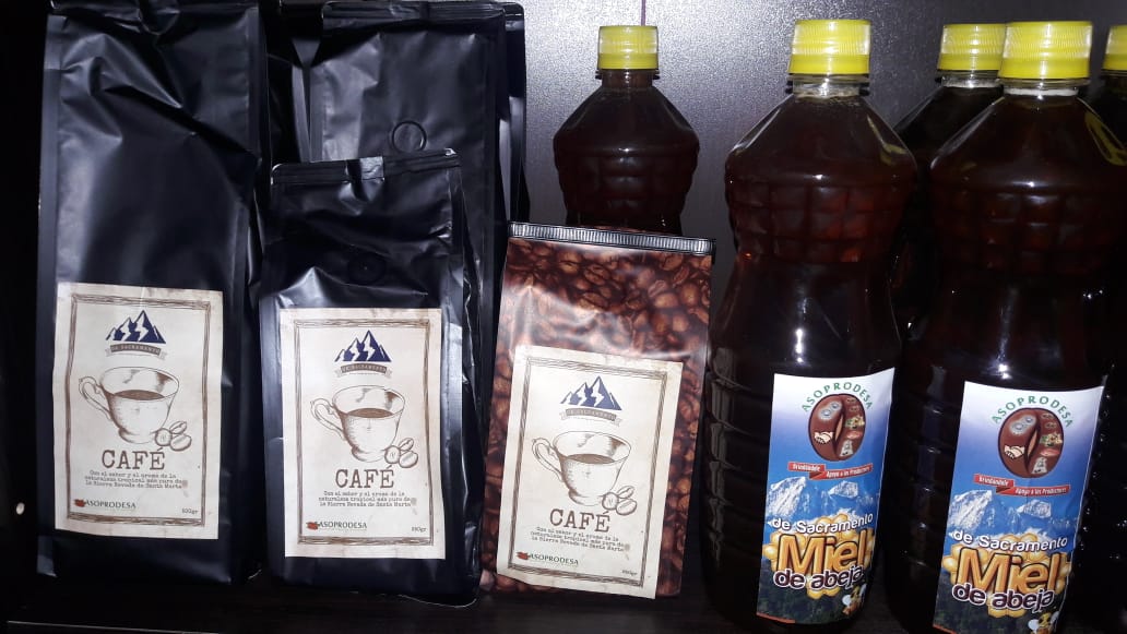 Campesinos de la Sierra Nevada de Santa marta exportarán café a Panamá