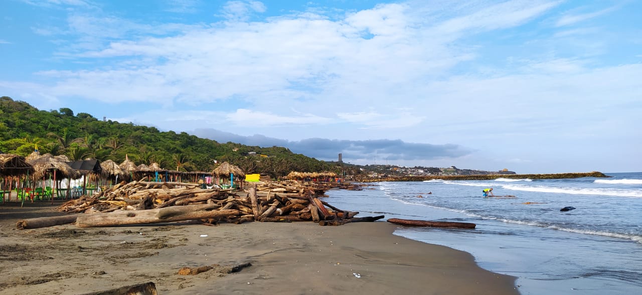 Los restos de madera están apilados en sectores de las playas mientras son recogidos.