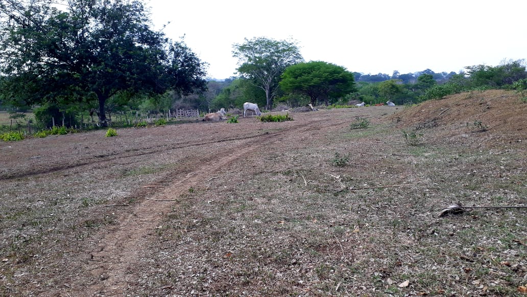 La sequía afecta la zona rural