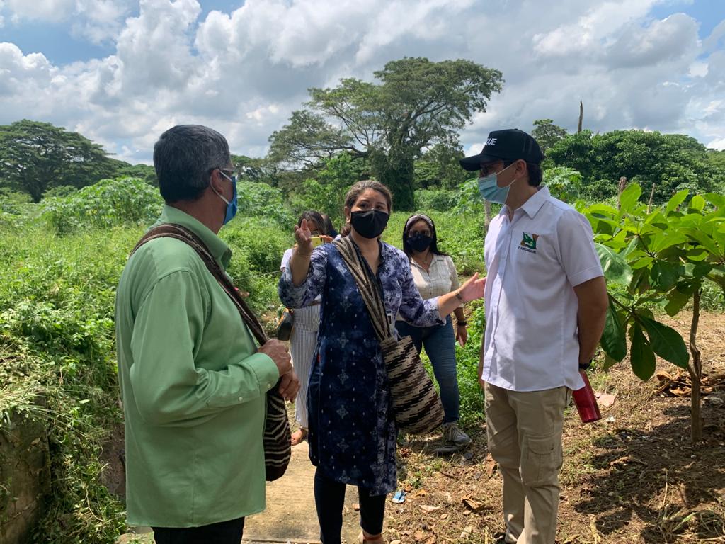 Problemas ambientales