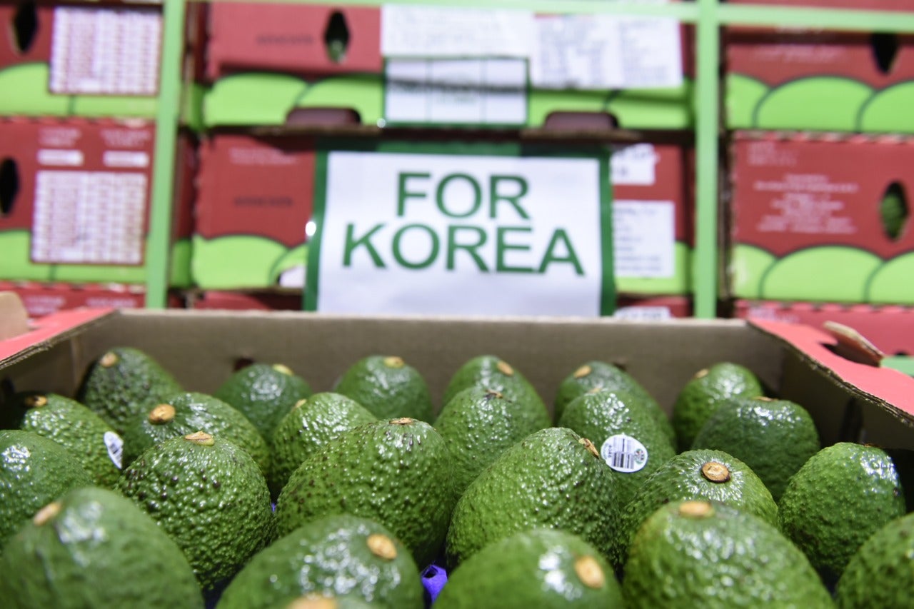 Se enviarán 18 toneladas