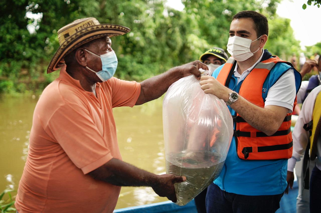 50 mil alevinos fueron sembrados en la Ciénaga de María La Baja