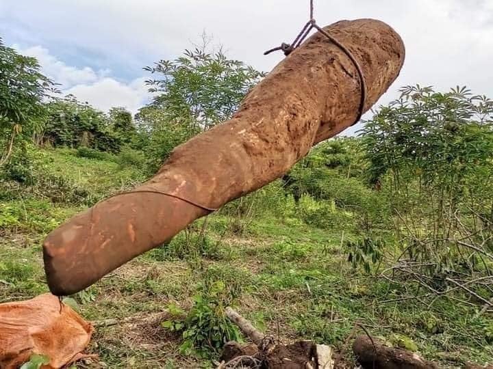 La fue sacada por varios hombres