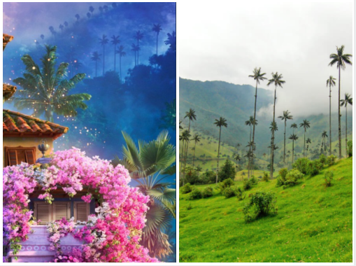 Valle del Cocora en 'Encanto'