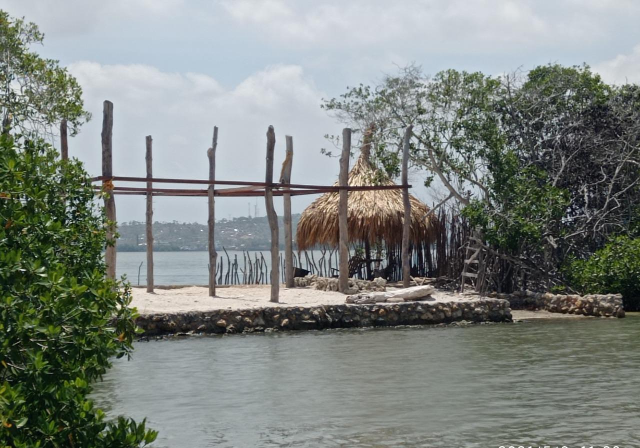 Dirección General Marítima advierte construcción sobre mangle en Tierrabomba en Cartagena