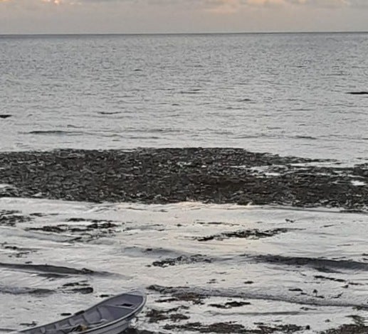 Taruya en playas de Puerto Colombia