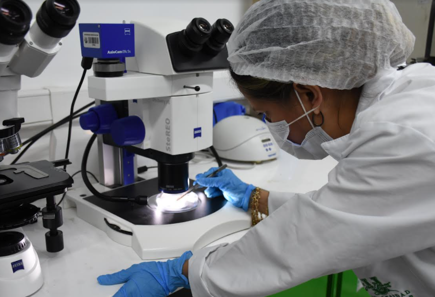 Imagen de referencia.