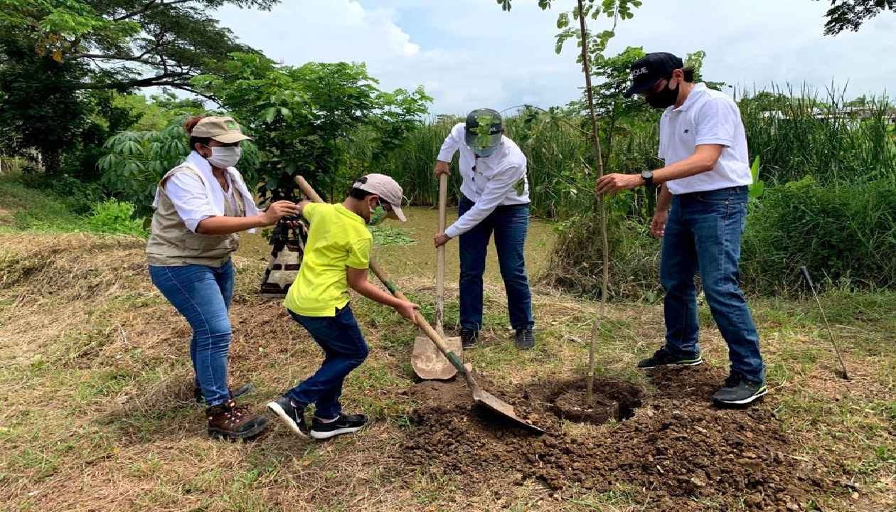 Incentivos para la conservación y protección de los recursos naturales