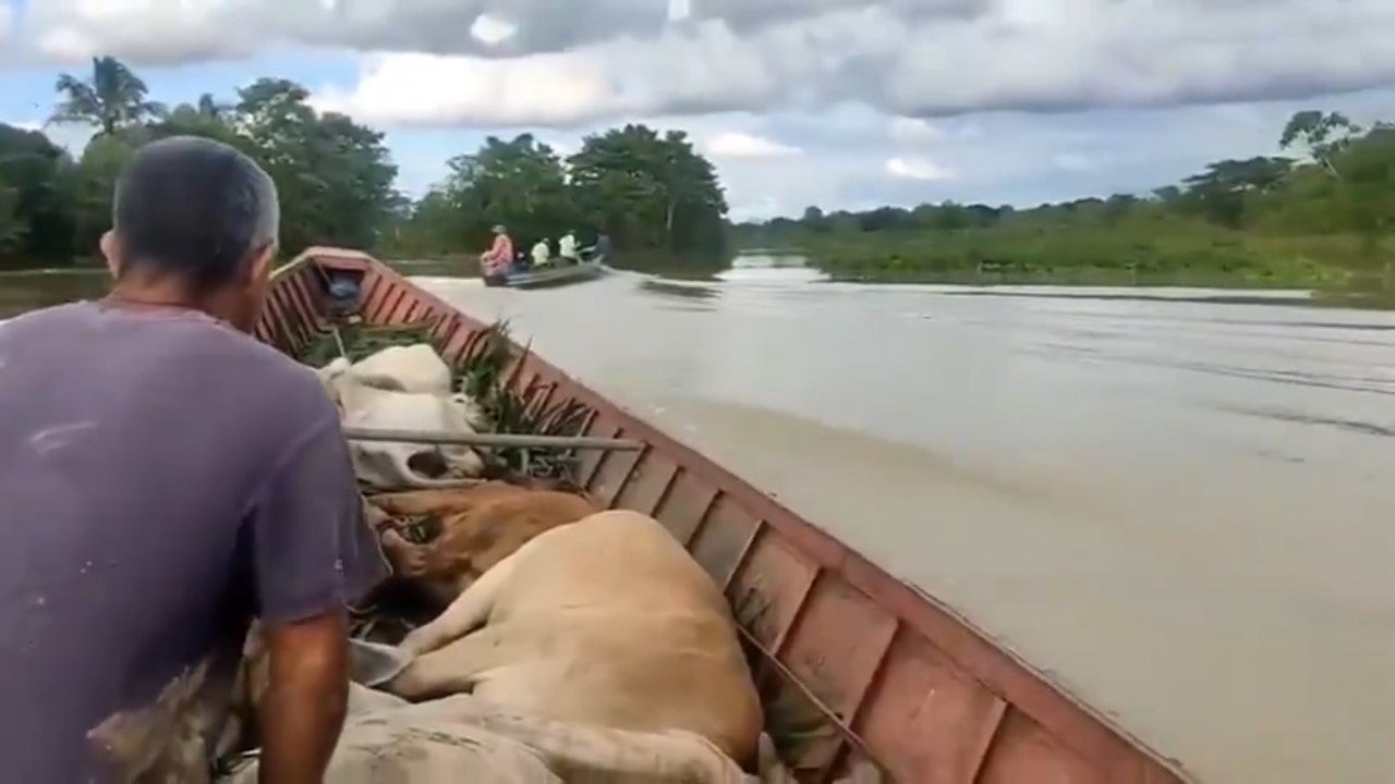 Piden que se declare situación de desastre nacional en la Mojana