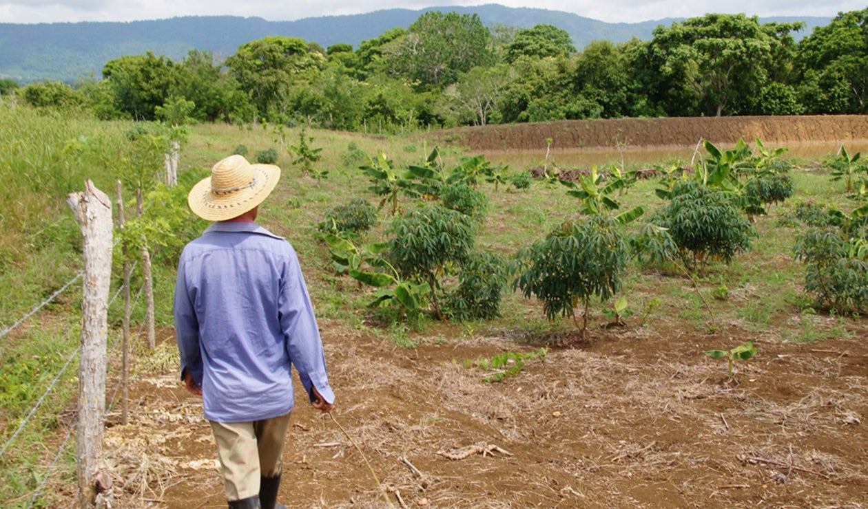 Unidad de Restitución de Tierras