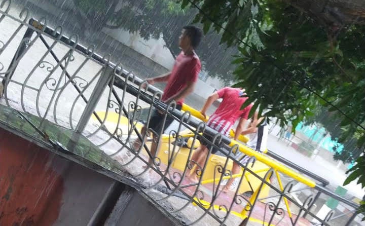 Imagen de referencia.