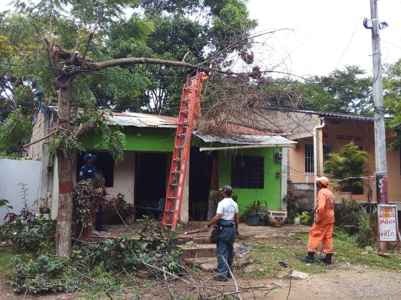 Vendaval afectó viviendas y cultivos en municipios de los Montes de María