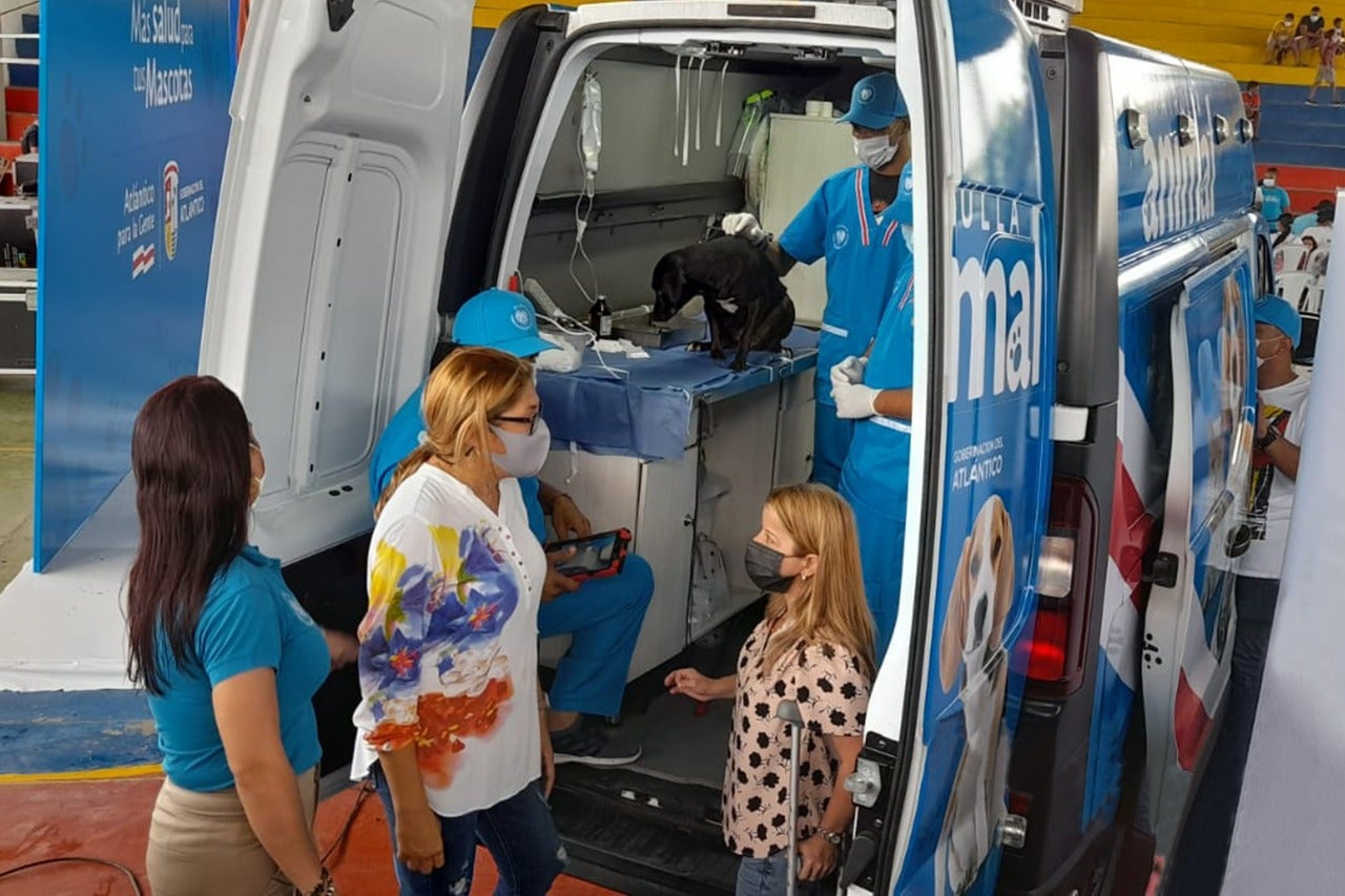 Imagen de referencia.