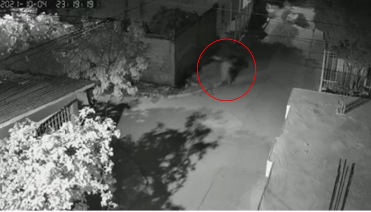 En vídeo quedó grabado