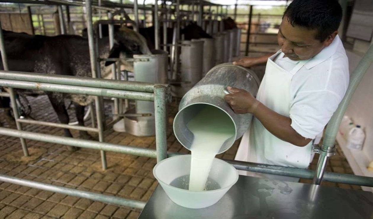 Productores leche