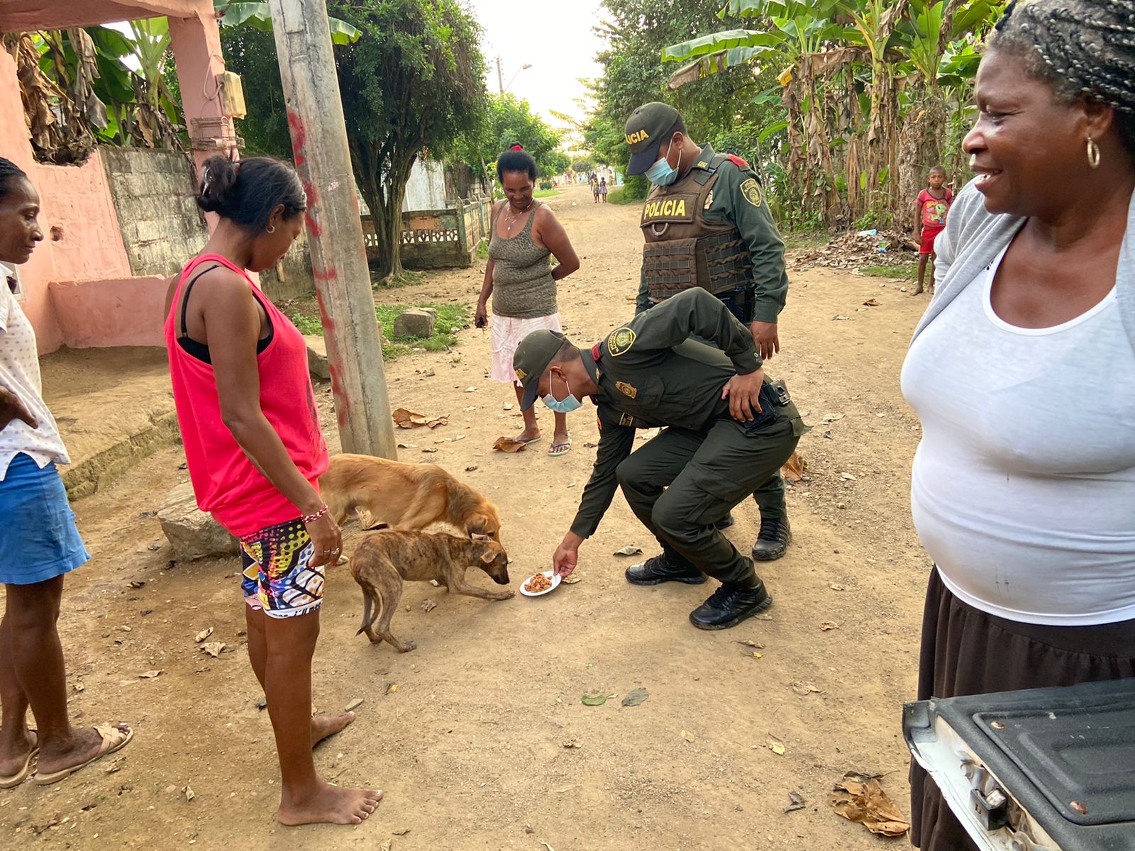 Se beneficiaron más 170 caninos