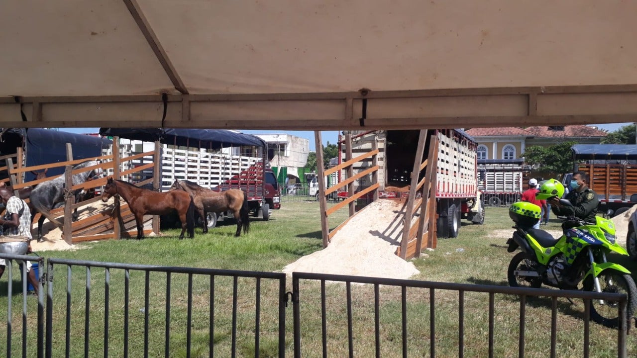 Cabalgata en Cartagena