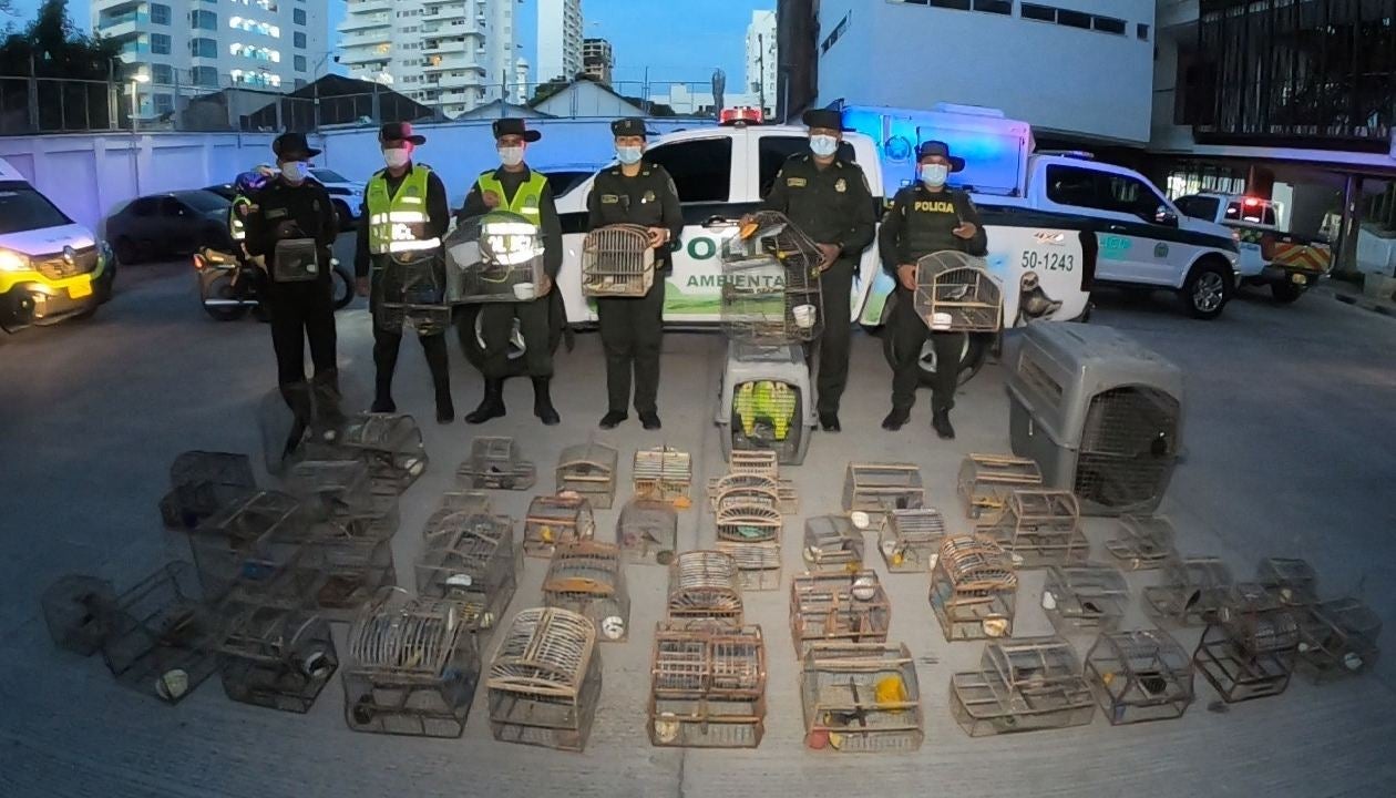 con un valor ecológico de más de 500 millones de pesos