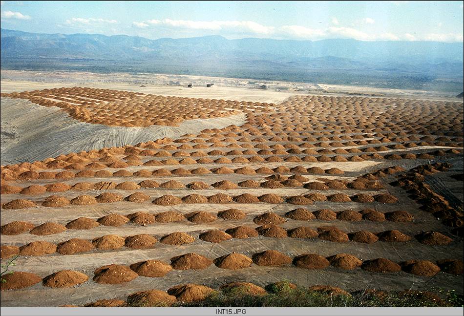 254 fueron restauradas durante el 2021