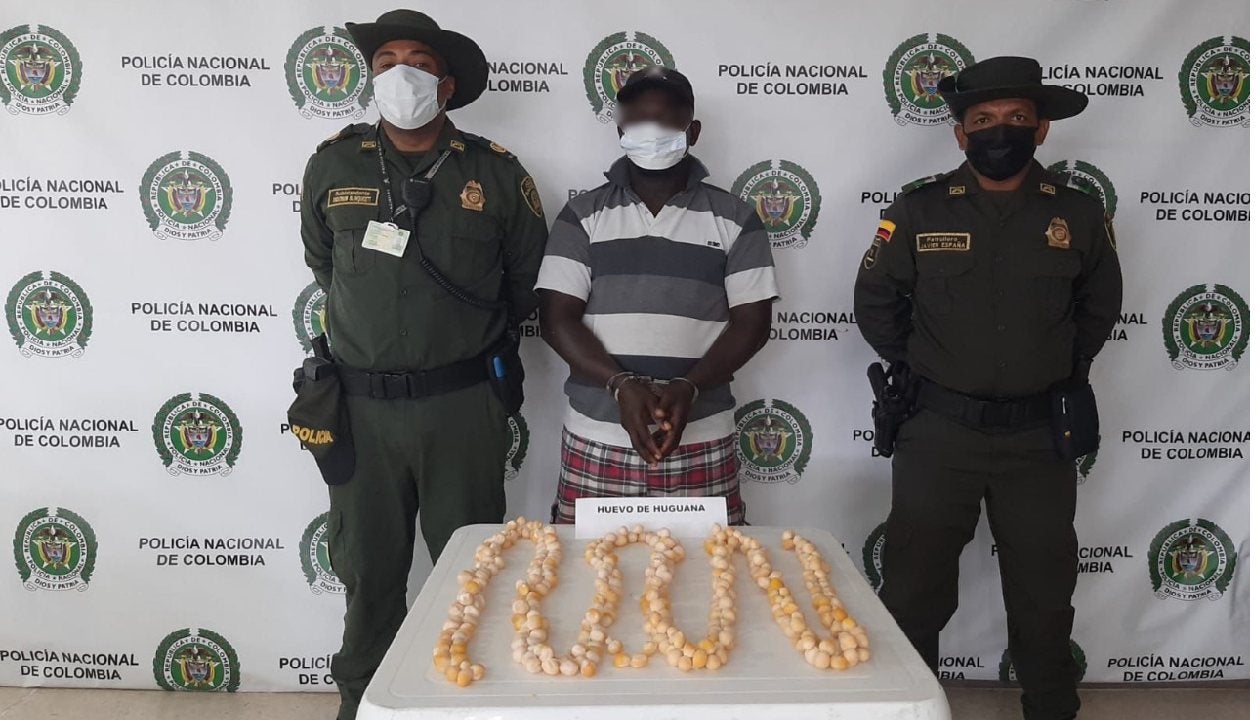 También fueron recuperados aves y animales silvestres