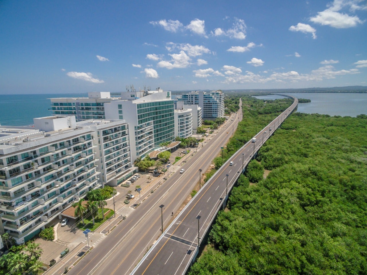 Viaducto de Cartagena
