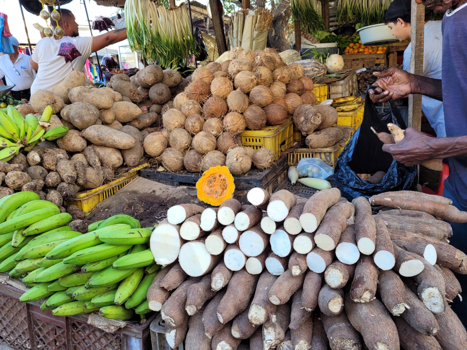Los guajiros están optando por otros alimentos