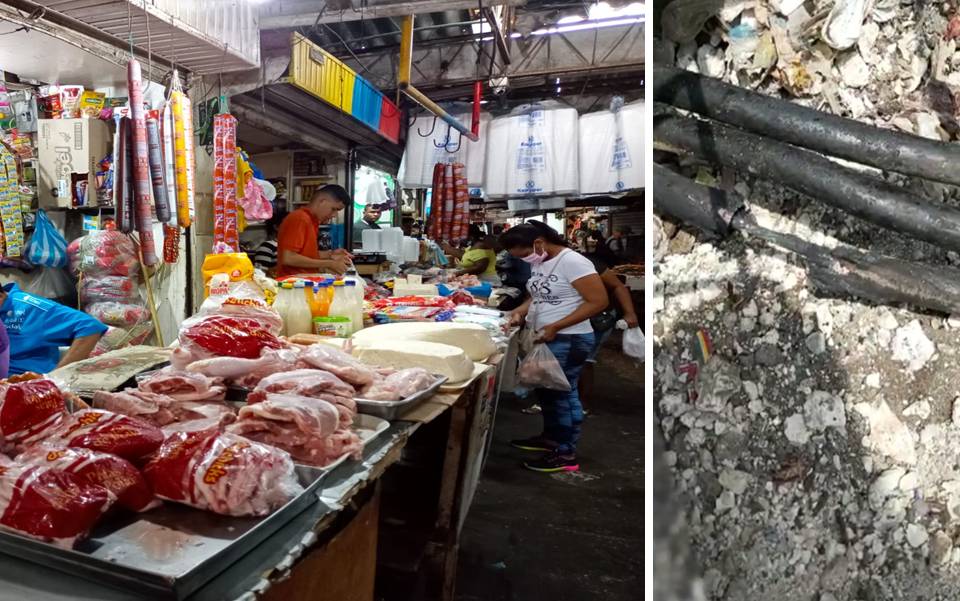 El cable dañado por los roedores es de referencia XLP de media tensión