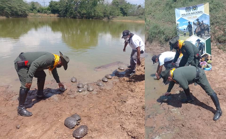 Los controles se hacen cada día más intensos