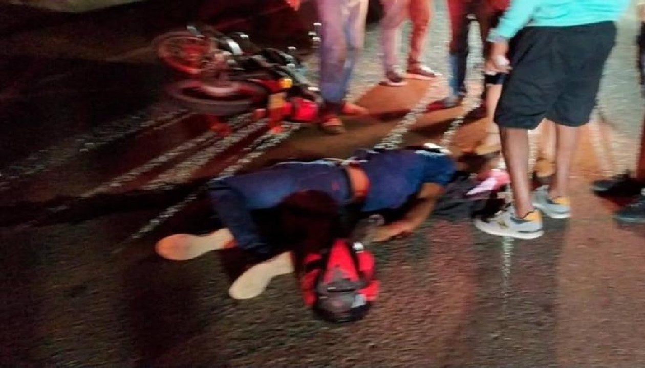 Una zorra provocó el accidente