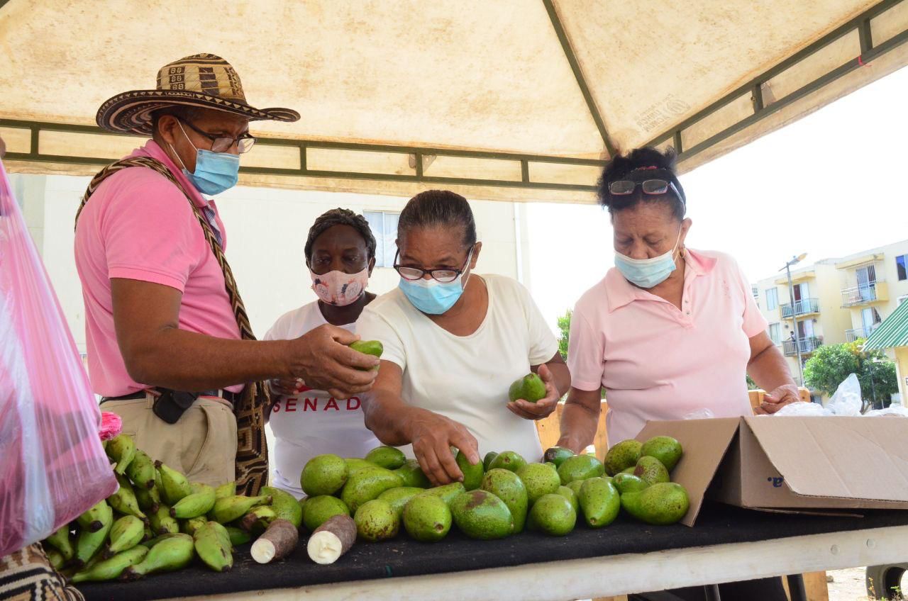 Mercado Campesino en Bicentenario