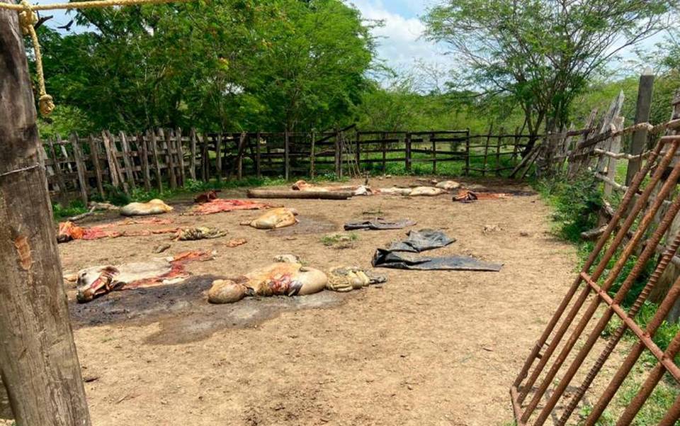 El caso ocurrió entre los municipios de Santa Rosa de Lima y Villanueva